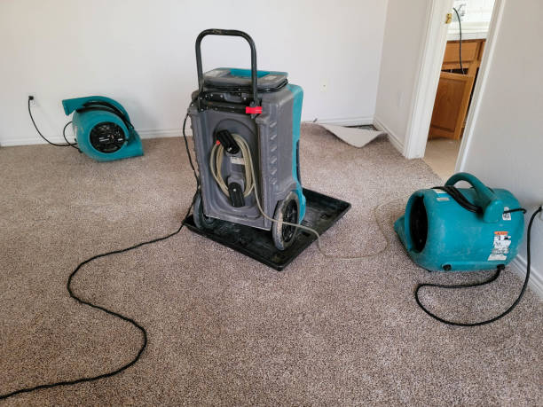 Best Ceiling water damage repair  in Horatio, AR