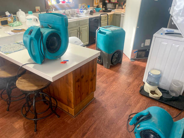 Best Flood damage cleanup  in Horatio, AR