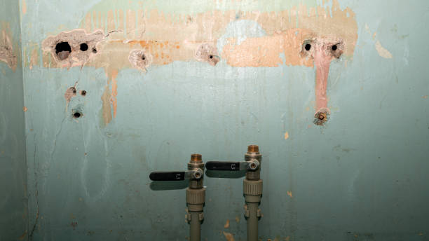 Best Residential water damage restoration  in Horatio, AR