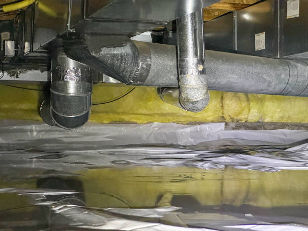 Best Water damage restoration near me  in Horatio, AR